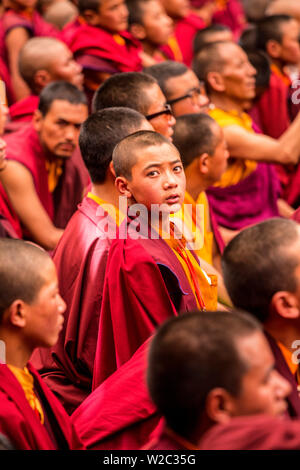 Moines, Hemis Monastery, vallée de l'Indus, le Ladakh, Inde Banque D'Images