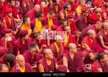 Moines, Hemis Monastery, vallée de l'Indus, le Ladakh, Inde Banque D'Images