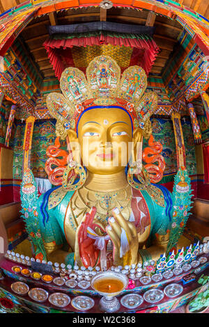 Bouddha, Thikse monastery, Tikse, vallée de l'Indus, nr Leh, Ladakh, Inde Banque D'Images