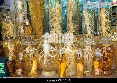 Pots de ginseng, marché alimentaire de Dongdaemun, District de Dongdaemun, Seoul, Corée du Sud Banque D'Images