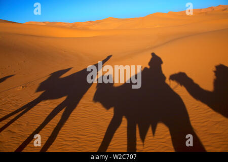 Ombres de chameaux et les cavaliers dans le désert, Merzouga, Maroc, Afrique du Nord Banque D'Images