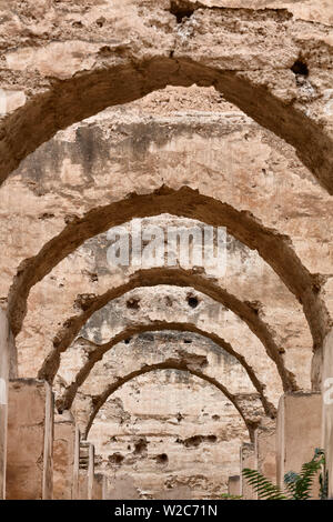 Sultan's écuries (18e siècle), Meknes, Maroc Banque D'Images