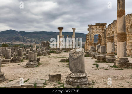 Vestiges romains, Volubilis, Maroc Banque D'Images