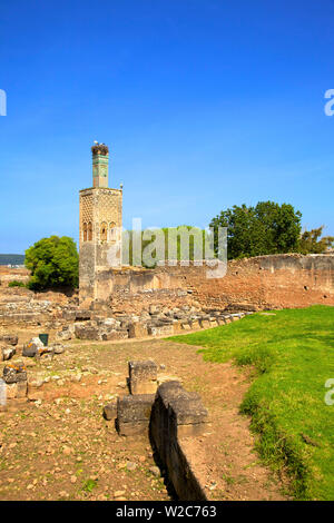 Les ruines de Chellah avec Minaret, Rabat, Maroc, Afrique du Nord Banque D'Images