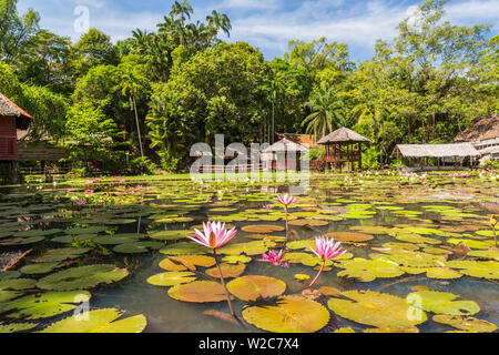 Village culturel du patrimoine et de l'eau lillies, Sabah State Museum, Kota Kinabalu, Sabah, Bornéo, Malaisie Banque D'Images