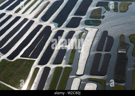 Ou re-Polder terres revendiquées, Hollande du Nord, Pays-Bas Banque D'Images