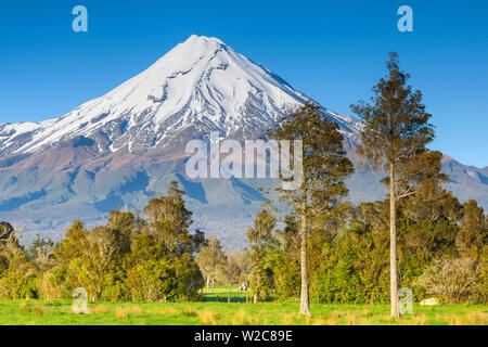 Le Mont Taranaki (Egmont), Taranaki, île du Nord, Nouvelle-Zélande Banque D'Images