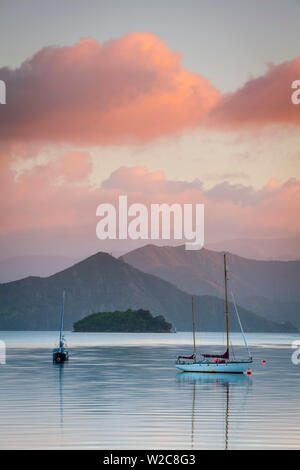 Yachts ancrés sur la Queen Charlotte Sound, Picton, Marlborough Sounds, île du Sud, Nouvelle-Zélande Banque D'Images