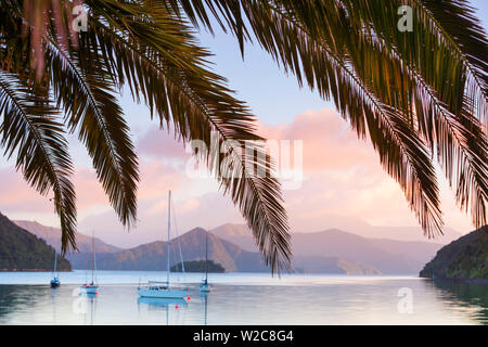 Yachts ancrés sur la Queen Charlotte Sound, Picton, Marlborough Sounds, île du Sud, Nouvelle-Zélande Banque D'Images