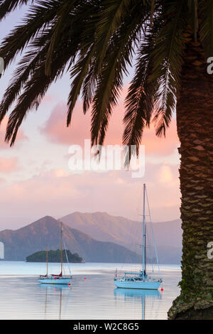 Yachts ancrés sur la Queen Charlotte Sound, Picton, Marlborough Sounds, île du Sud, Nouvelle-Zélande Banque D'Images