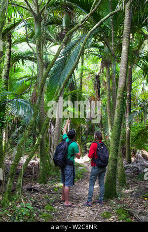 Couple walking la Heaphy Track, Karamea, West Coast, South Island, New Zealand Banque D'Images