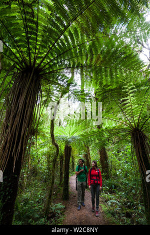 Couple marchant dans un parc national, Karamea, West Coast, South Island, New Zealand Banque D'Images