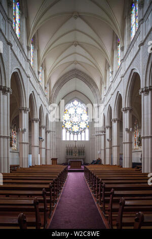 Nouvelle Zélande, île du Sud, Otago, Dunedin, cathédrale St Joseph, de l'intérieur Banque D'Images