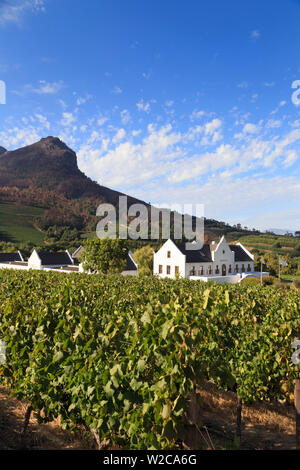 L'Afrique du Sud, Western Cape, Stellenbosch, Zorgvliet Wine Estate Banque D'Images
