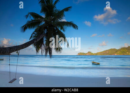 Palmier et plage tropicale, dans le sud de Mahe, Seychelles Banque D'Images
