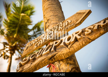 Inscrivez-vous sur palmier, Mahe, Seychelles Banque D'Images