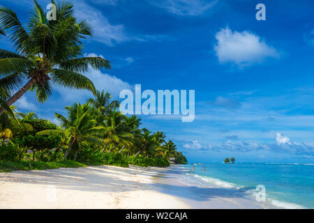 Tropical beach, La Digue, Seychelles Banque D'Images