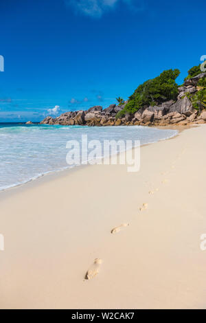 La plage de Petite Anse, La Digue, Seychelles Banque D'Images