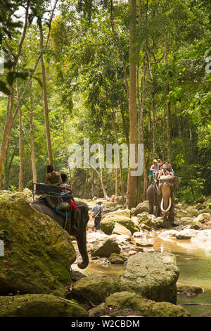 Tour d'éléphant, Na Mueang Cascade, Koh Samui, Thaïlande Banque D'Images