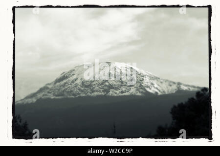 Le Kilimandjaro avec des arbres à l'avant, à partir de la Tanzanie Banque D'Images