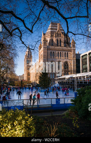 L'Angleterre, Londres, South Kensington, le Musée d'Histoire Naturelle et patinoire Banque D'Images