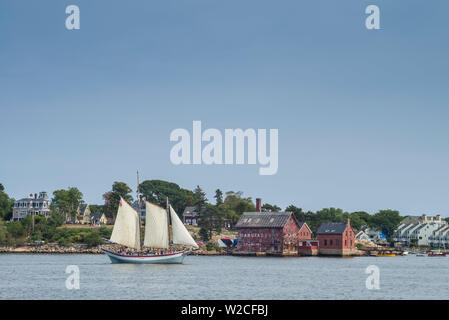 USA, Massachusetts, Cape Ann, Gloucester, la plus ancienne du port maritime de l'Amérique, goélette schooner Gloucester Festival, les bateaux à voile Banque D'Images