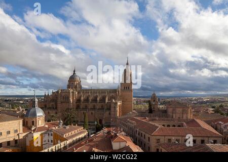 Ancienne et nouvelle cathédrale avec l'université, Salamanque, Castille et Leon, Espagne Banque D'Images