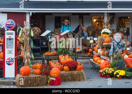 USA, Ohio, Pennsylvania Dutch Country, Bird in Hand, Vieux Village Store et de citrouilles, automne Banque D'Images