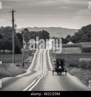 USA, Ohio, Pennsylvania Dutch Country, Paradise, Amish Cheval et buggy sur Paradise Lane Banque D'Images