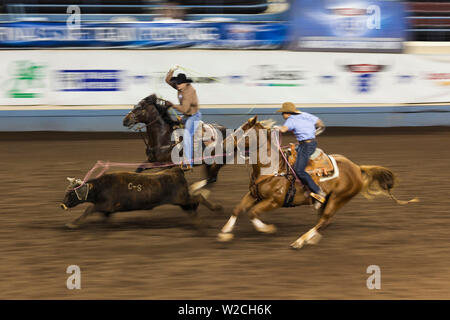 USA, Ohio, Oklahoma City, Oklahoma State Fair Park, Cowboy Rodeo Competition, le bétail au lasso, motion-blur Banque D'Images