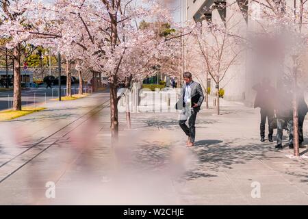 Homme d'affaires japonais en costume, cherry blossom in business district Marunouchi, Tokyo, Japon Banque D'Images