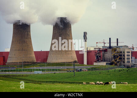 Sellafield, England, UK. Juillet 1986. L'usine de retraitement nucléaire. Des moutons paissant en face de la centrale nucléaire. Photo : © Simon Grosset. Archive : image numérisé à partir d'un original de la transparence. Banque D'Images