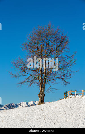 Italie Vénétie Cansiglio - Castelfranco Veneto - Col Indes avec de la neige en hiver Banque D'Images