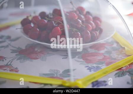 L'été venu les cerises au Bol avec couvercle contre les insectes Banque D'Images
