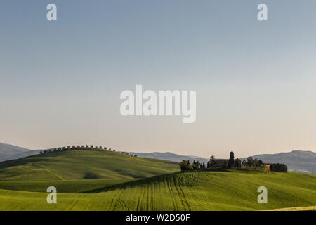 Beau paysage de la Toscane au printemps avec vague de vertes collines. La Toscane, Italie, Europe Banque D'Images