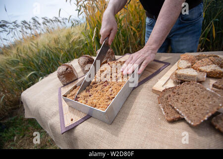 Stuttgart, Allemagne. 08 juillet, 2019. Siegfried Brenneis, maître boulanger, coupe un gâteau lors d'une conférence de presse sur un essai en champ de céréales à l'Université de Hohenheim, à côté d'autres produits de boulangerie faits de vieux céréales. L'expérience est destinée à fournir des informations sur la manière dont les différentes variétés, telles que l'engrain, l'amidonnier et Dinkel, s'affirmer dans la culture, les risques qu'ils ont et pour quels produits l'un ou l'autre variété de céréale est plus adaptée. Credit : Marijan Murat/dpa/Alamy Live News Banque D'Images