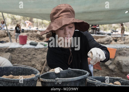 Kiryat Gat, Israël. 8 juillet, 2019. L'Australie, Israël et le sud-coréen réalisé par les bénévoles Le professeur Yosef Garfinkel, de l'Université hébraïque et le professeur Kyle Keimer de Macquarie University à Sydney, en Australie, les fouilles sur le site de Khirbet un Rai dans les collines de Judée, entre Kiryat Gat et Lakis. Credit : Alon Nir/Alamy Live News Crédit : Alon Nir/Alamy Live News Banque D'Images