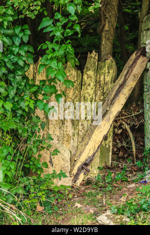 Vue sur la campagne et porte en bois ancienne rustique village de Bibury Angleterre, Royaume-Uni. Banque D'Images