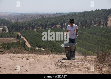 Kiryat Gat, Israël. 8 juillet, 2019. L'Australie, Israël et le sud-coréen réalisé par les bénévoles Le professeur Yosef Garfinkel, de l'Université hébraïque et le professeur Kyle Keimer de Macquarie University à Sydney, en Australie, les fouilles sur le site de Khirbet un Rai dans les collines de Judée, entre Kiryat Gat et Lakis. Credit : Alon Nir/Alamy Live News Banque D'Images