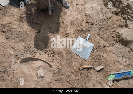 Kiryat Gat, Israël. 8 juillet, 2019. L'Australie, Israël et le sud-coréen réalisé par les bénévoles Le professeur Yosef Garfinkel, de l'Université hébraïque et le professeur Kyle Keimer de Macquarie University à Sydney, en Australie, les fouilles sur le site de Khirbet un Rai dans les collines de Judée, entre Kiryat Gat et Lakis. Credit : Alon Nir/Alamy Live News Banque D'Images