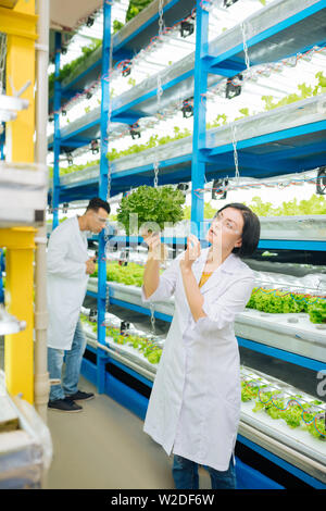 Femelle brune agriculturist wearing white coat holding lettuce Banque D'Images