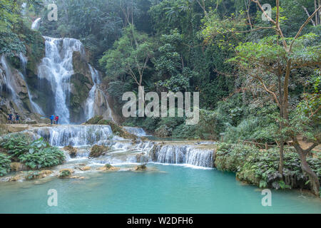 Luang Prabang, Laos - 21 décembre 2013 : Cascade dans la forêt de pluie (Tat Cascades de Kuang Si à Luang Prabang, Laos.) avec les touristes natation Banque D'Images