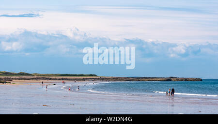 John Muir, Chemin de la côte d'East Lothian, Ecosse, Royaume-Uni, 8 juillet 2019. Météo France : beau soleil sur le littoral aujourd'hui avec les personnes bénéficiant de la vaste étendue de la plage à marée basse à Bouaye virages le long de la façon dont John Muir Banque D'Images