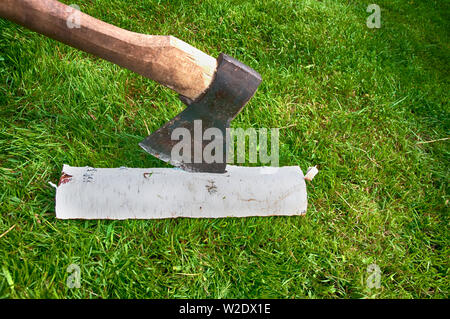 Outils de jardin ax coincé dans une pièce de bois de bouleau vue latérale Banque D'Images