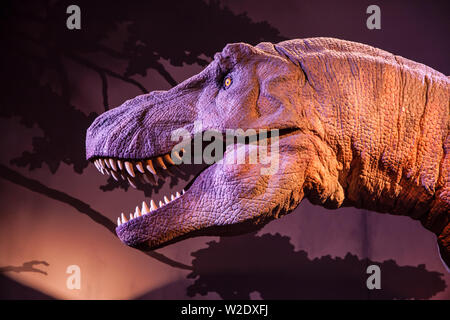 Londres, Royaume-Uni - 21 décembre 2018 : Modèle d'un Tyrannosaurus Rex Head au Natural History Museum, Londres, Royaume-Uni. Banque D'Images
