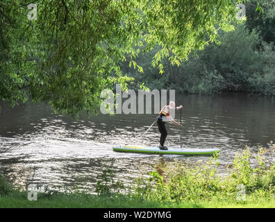 Un homme paddle sur la rivière Severn à Shrewsbury Banque D'Images