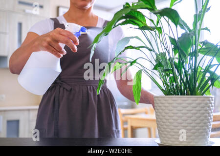 Une femme le quitte de fleurs. Dans un pot de fleur blanche Banque D'Images