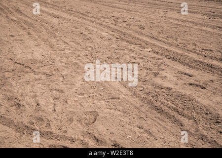 Champ labouré dans le début de l'été. La texture de la terre Banque D'Images