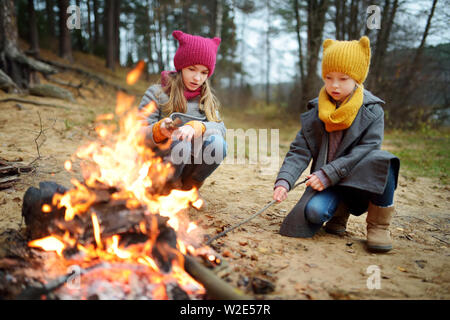 Deux jolies jeunes femmes assis par un feu par une froide journée d'automne. Les enfants s'amuser au feu de camp. Camping avec les enfants dans la forêt de l'automne. Loisirs en famille avec Banque D'Images