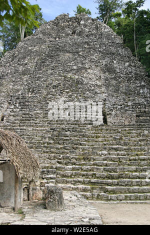 Coba, Mexique - circa 2010. Coba est une ancienne ville maya de la péninsule du Yucatán, situé dans l'état Mexicain de Quintana Roo. Nohuch mul Banque D'Images